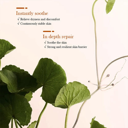 Asiatic Glow Repair Set
